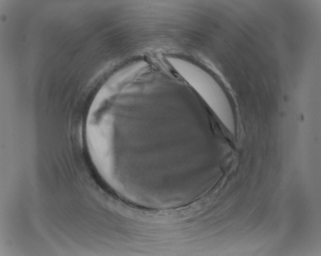 X0000068890019200605261857