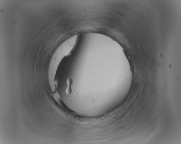 X0000068890021200605261857