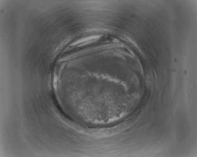 X0000068890023200605261857