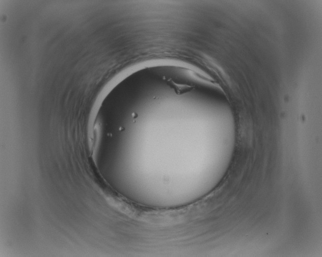 X0000068890025200605261857