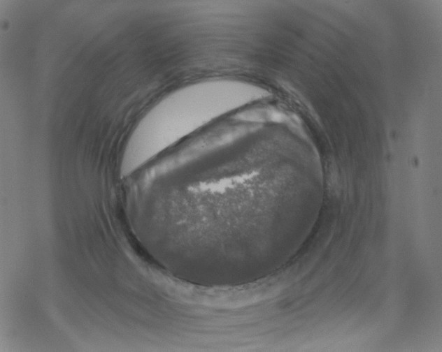 X0000068890026200605261857