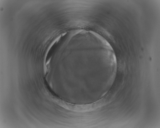 X0000068890027200605261857