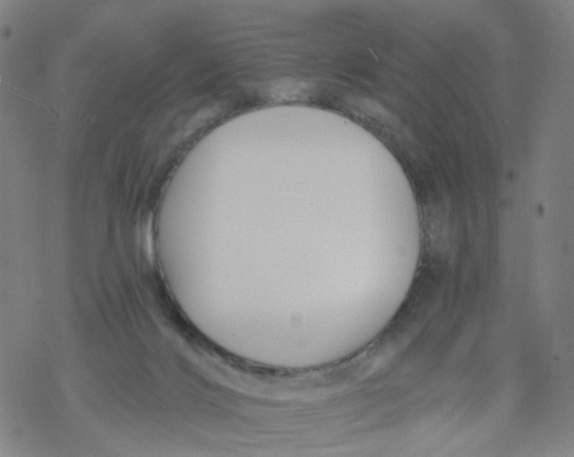 X0000068890028200605261857