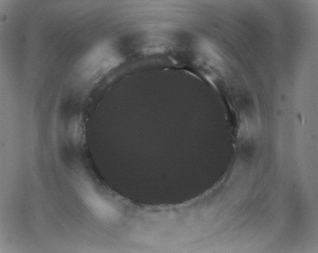 X0000068890029200605261857