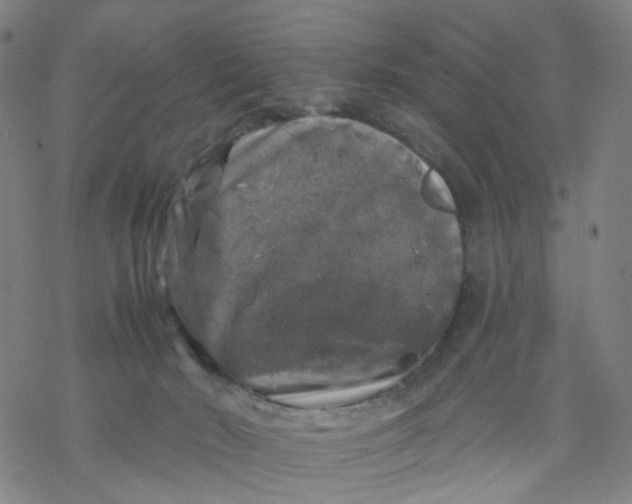 X0000068890030200605261857