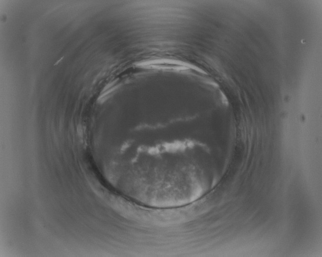 X0000068890031200605261857