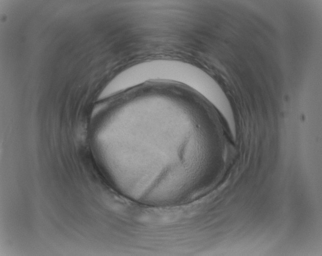 X0000068890033200605261857