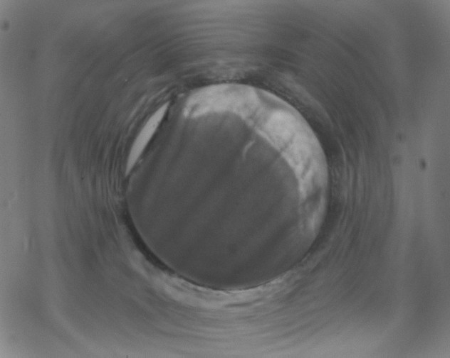 X0000068890035200605261857