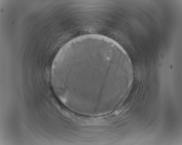 X0000068890036200605261857