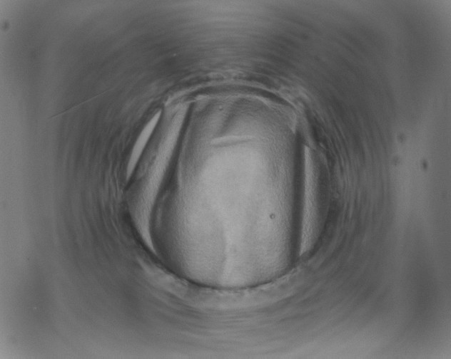 X0000068890037200605261857