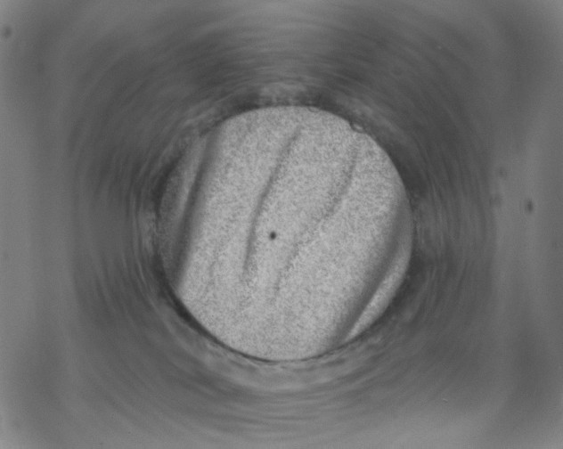 X0000068890038200605261857