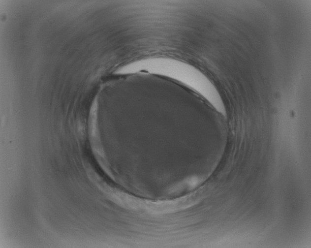 X0000068890039200605261857