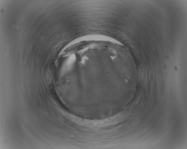 X0000068890043200605261857