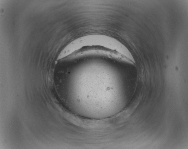 X0000068890044200605261857