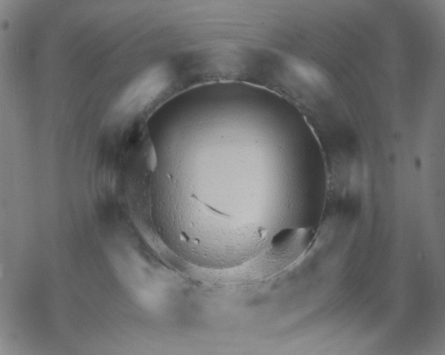 X0000068890045200605261857