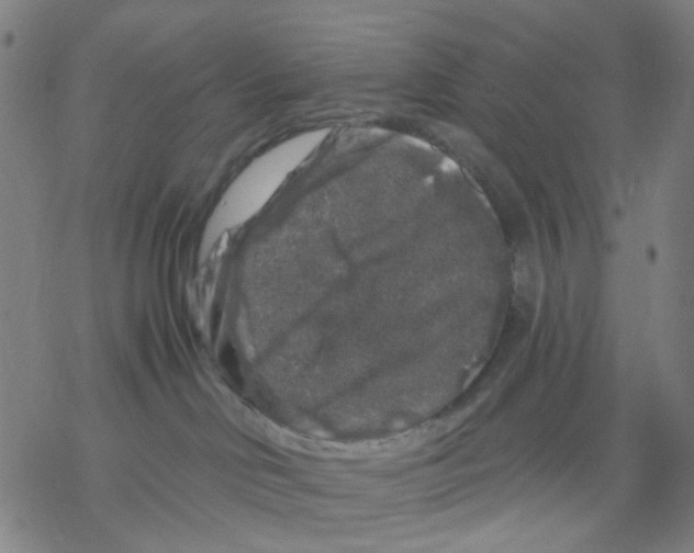 X0000068890046200605261857