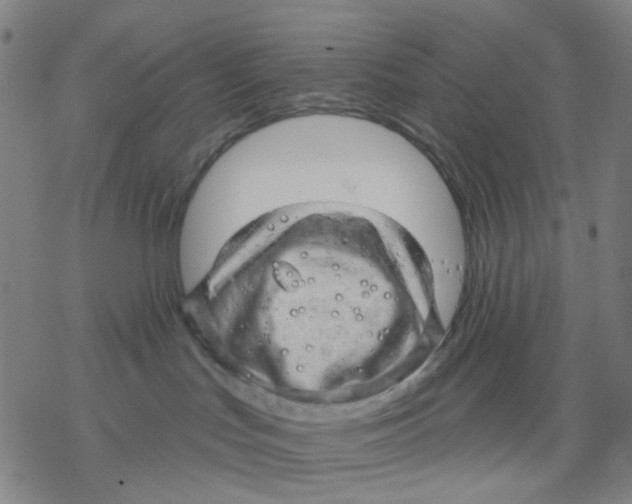 X0000068890047200605261857