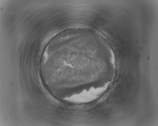 X0000068890049200605261856