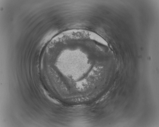 X0000068890050200605261856