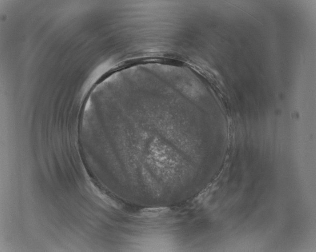 X0000068890051200605261856