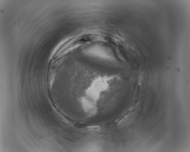 X0000068890052200605261856