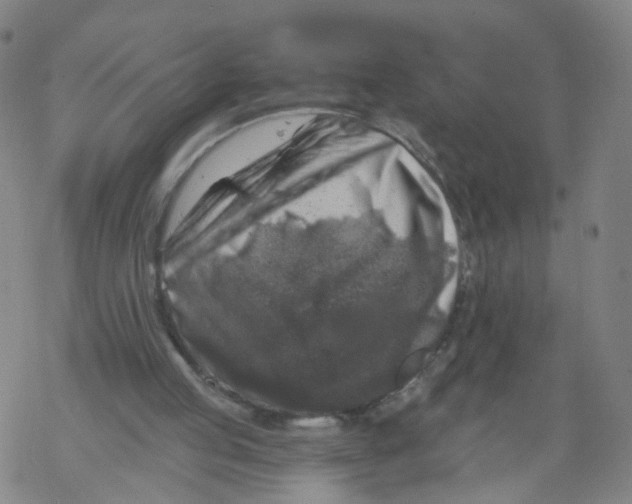 X0000068890053200605261856