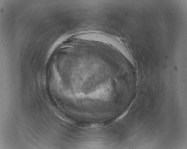 X0000068890056200605261856