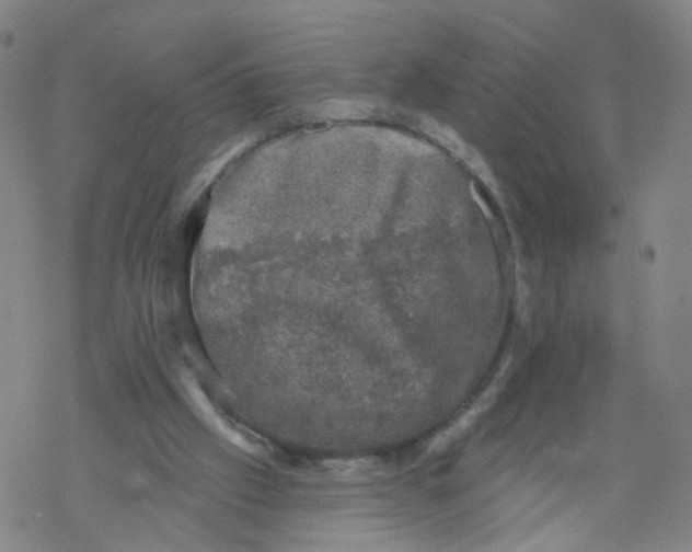 X0000068890057200605261856