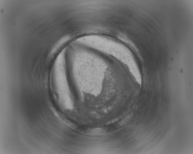 X0000068890058200605261856