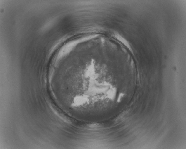 X0000068890059200605261856