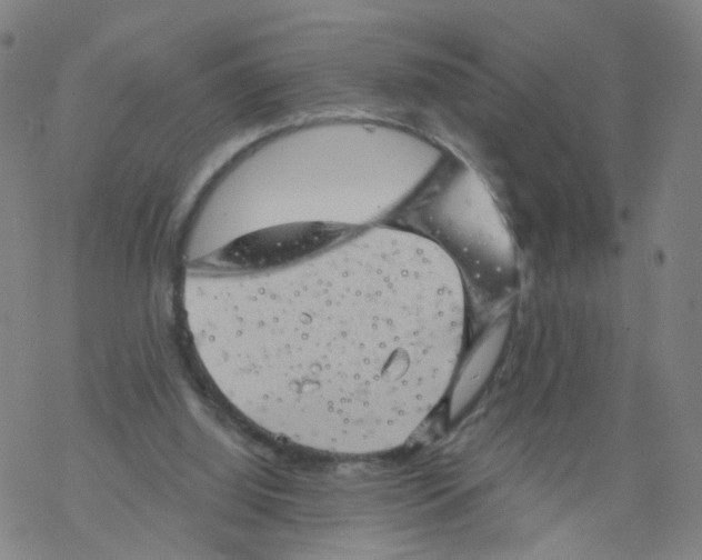 X0000068890060200605261856