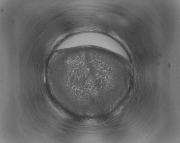 X0000068890062200605261856