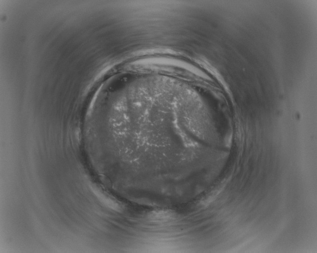 X0000068890063200605261856