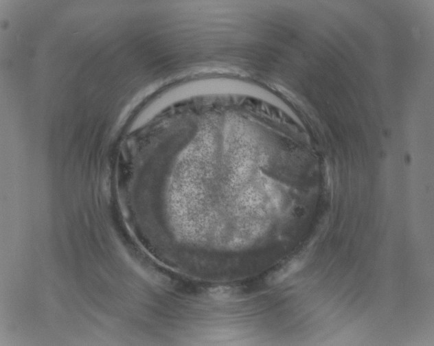 X0000068890064200605261856