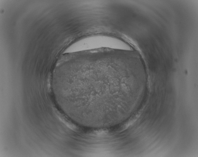 X0000068890065200605261856