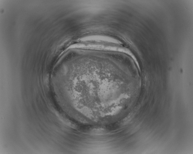 X0000068890066200605261856