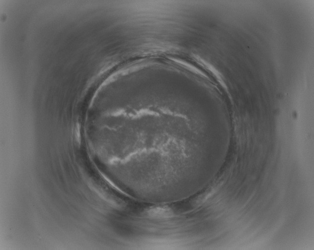 X0000068890067200605261856