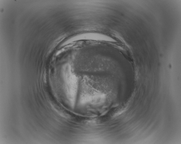 X0000068890068200605261856