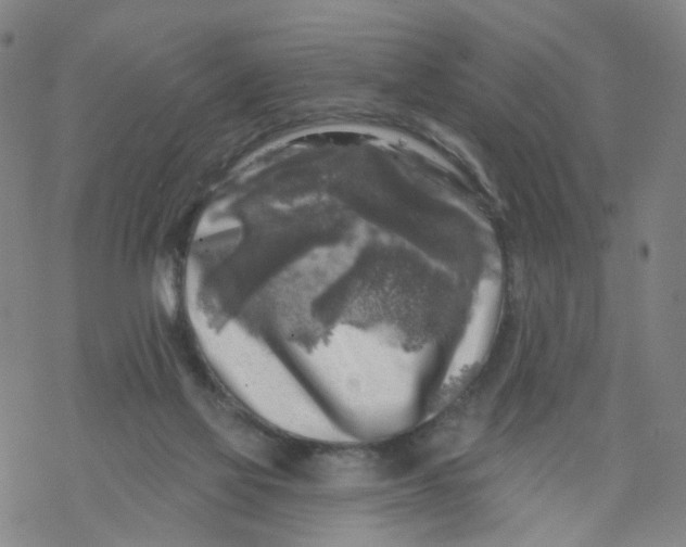 X0000068890069200605261856