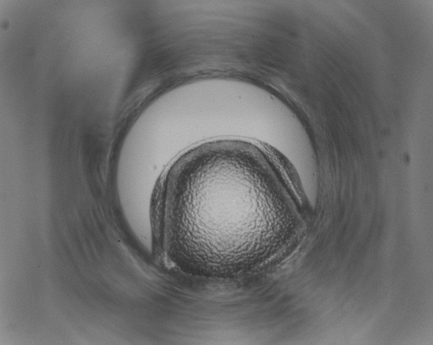 X0000068890070200605261856