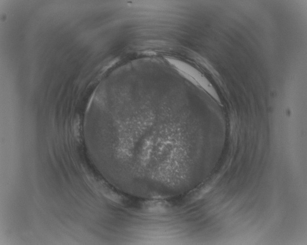 X0000068890073200605261856