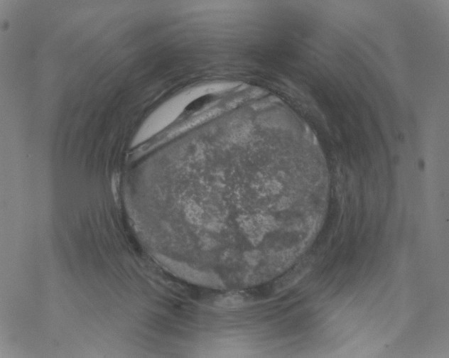 X0000068890075200605261856