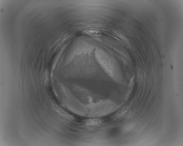 X0000068890077200605261856