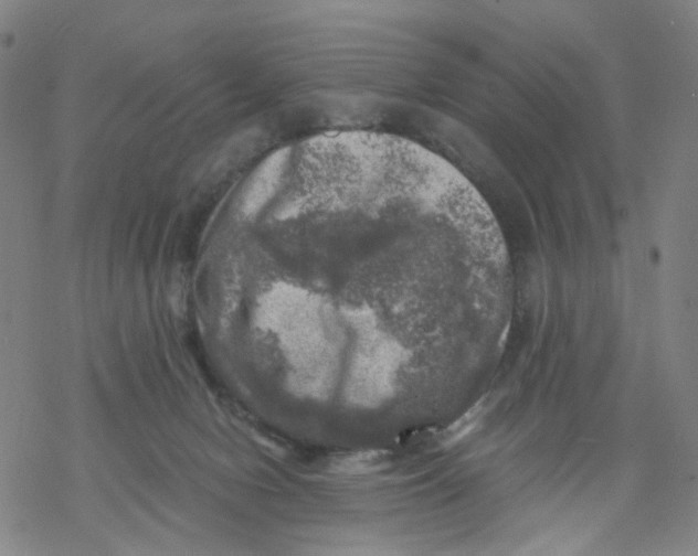 X0000068890078200605261856