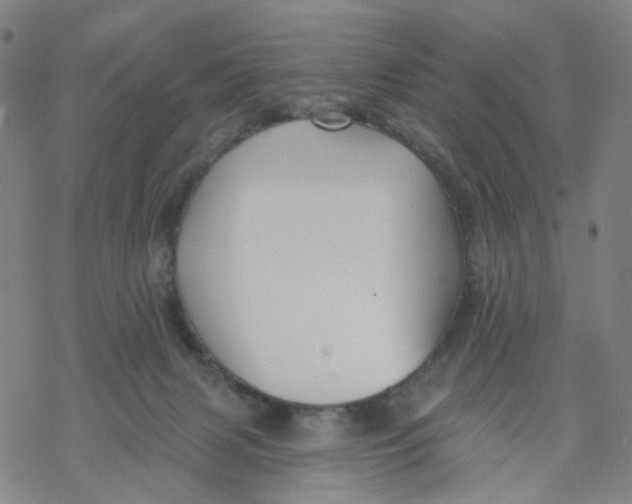 X0000068890079200605261856