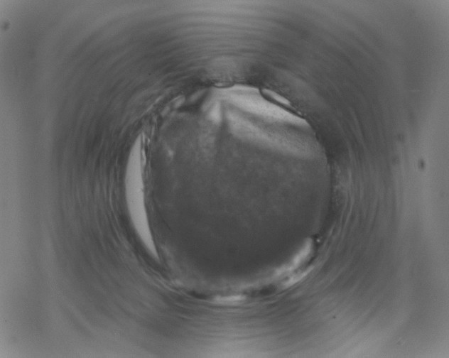 X0000068890080200605261856