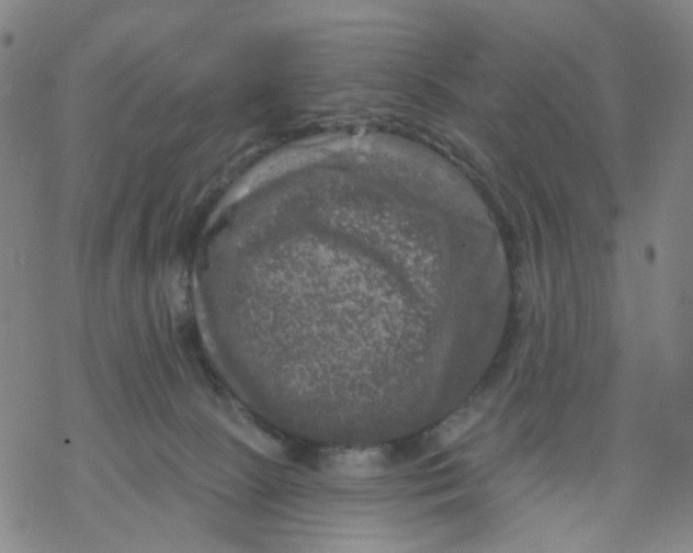 X0000068890081200605261856