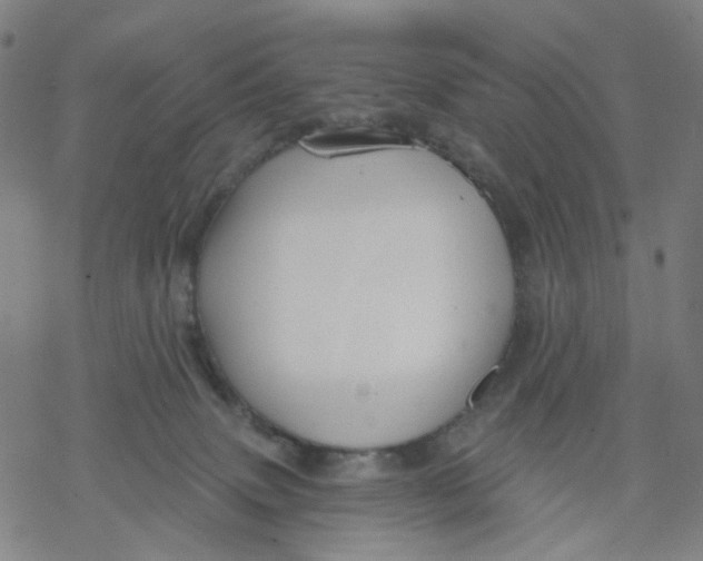 X0000068890083200605261856