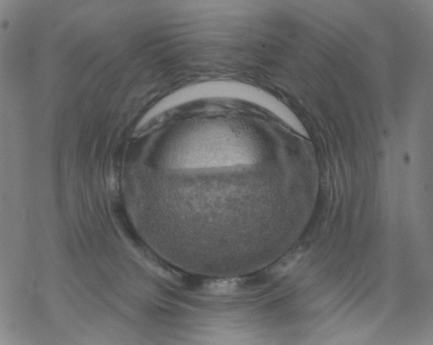 X0000068890084200605261856