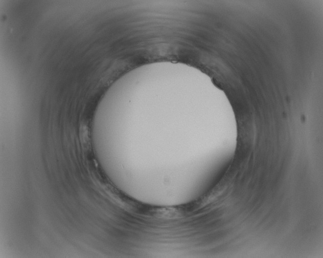 X0000068890087200605261856